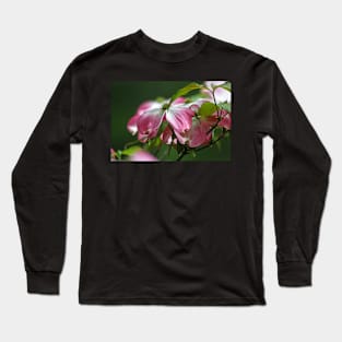 Dogwood Blossoms Long Sleeve T-Shirt